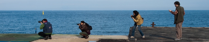 Banner Ischia
