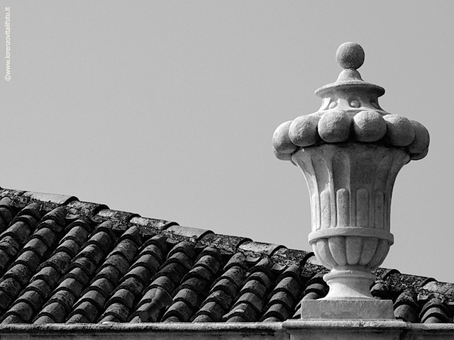cordellinalatoa009
